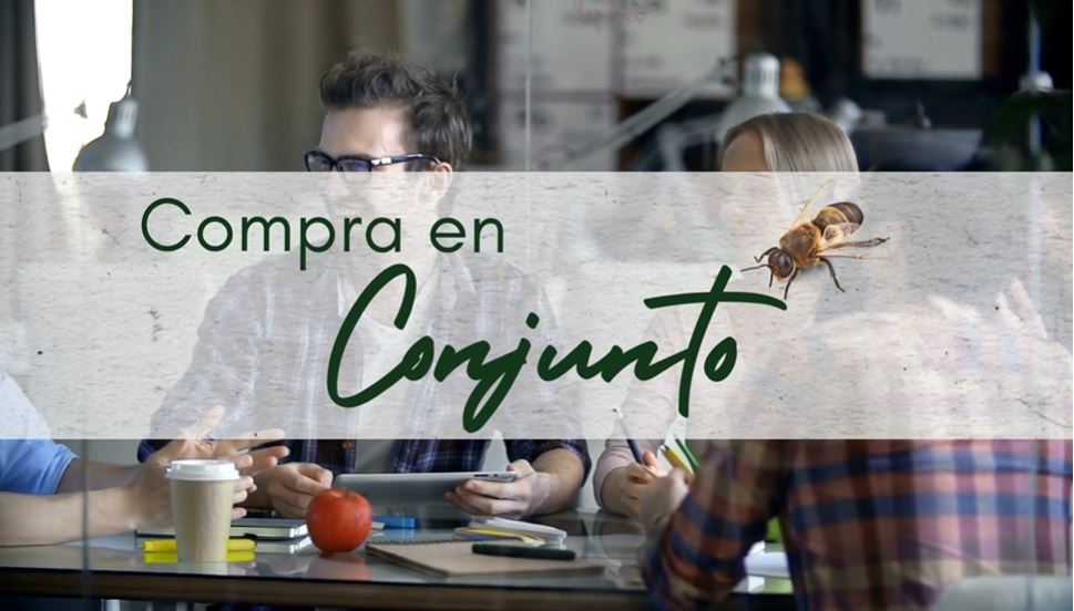 Compra Conjuntas