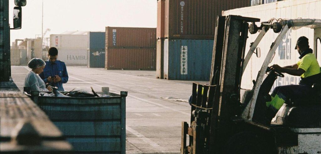 ZenWay Life Group Banner - Comercio Exterior